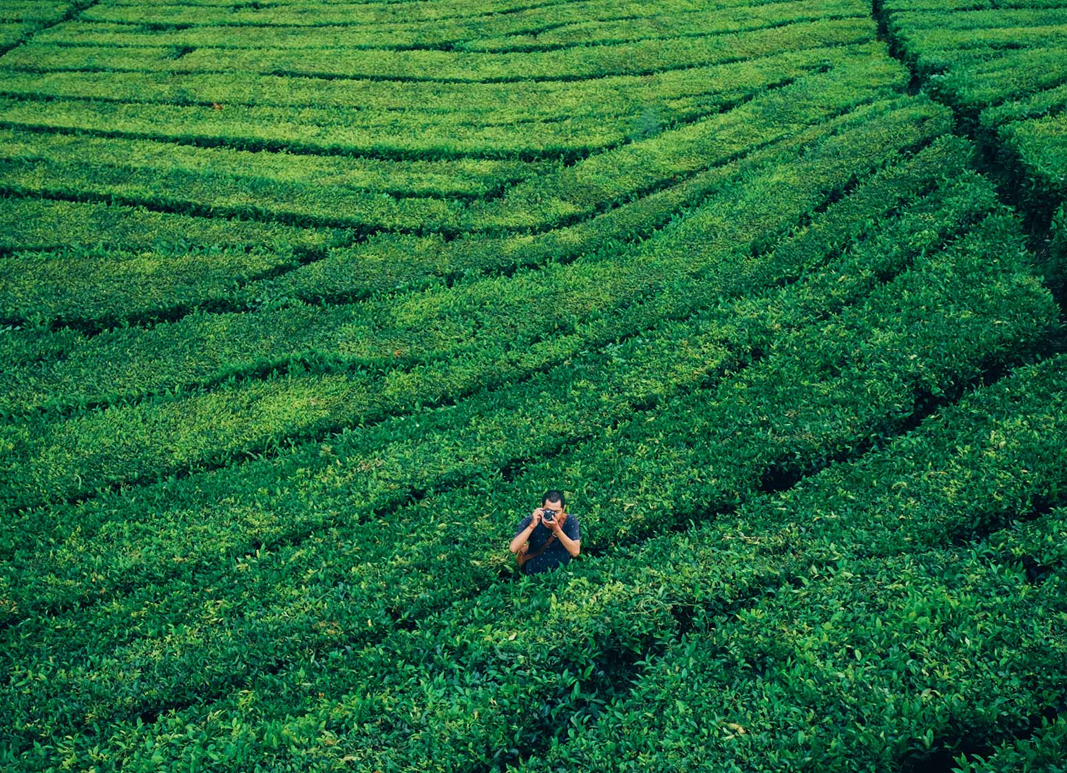 photographer in green field